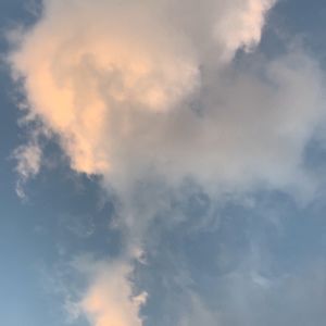 Meet your Posher, Mira